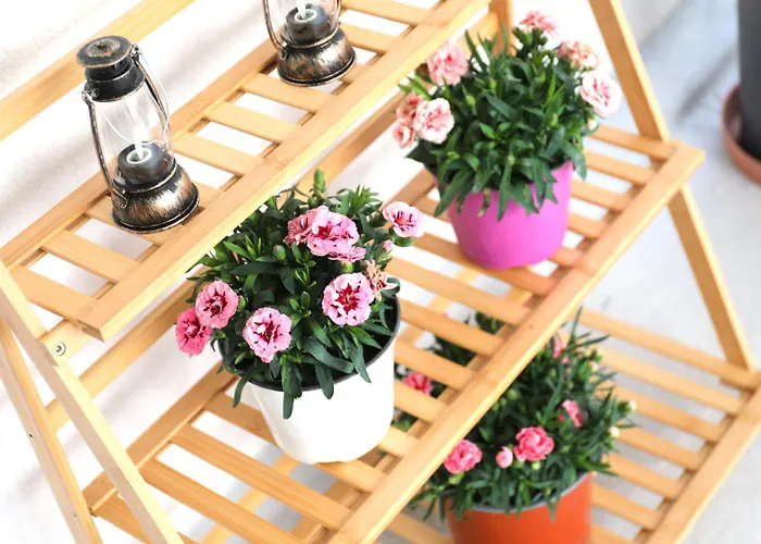 Aparthotel Albertoshouse Città di Skiathos