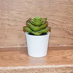 Albertoshouse