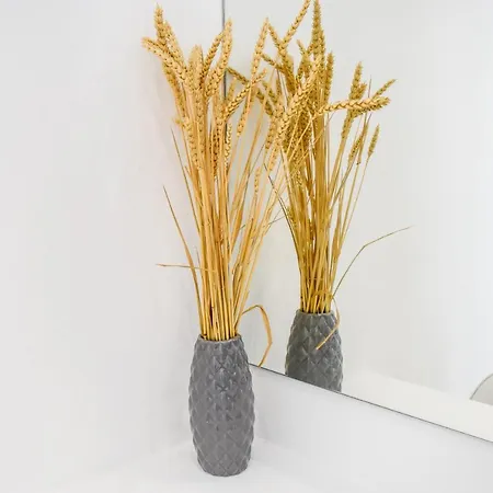 Albertoshouse Aparthotel Città di Skiathos