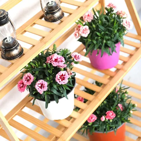 Apart Otel Albertoshouse İskados