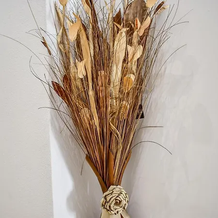 Albertoshouse Apart Otel İskados